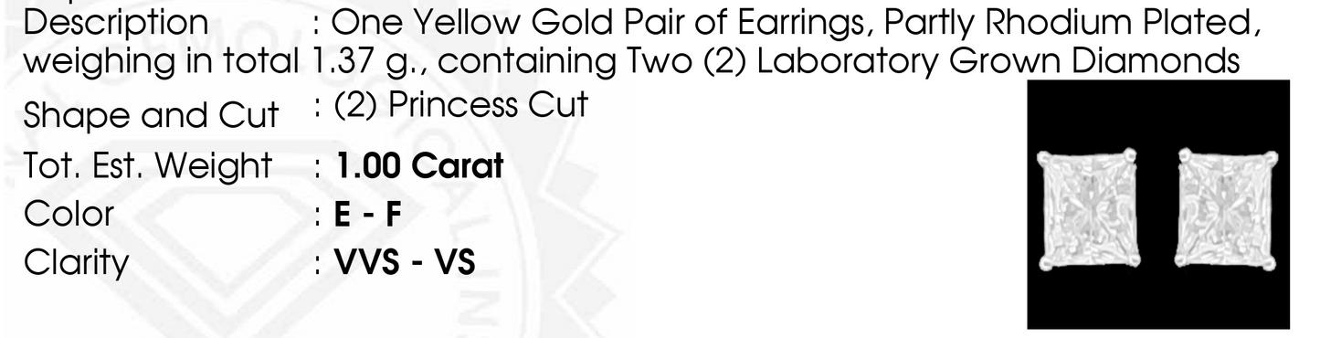 Lab-Grown 1ct. Princess Cut Studs